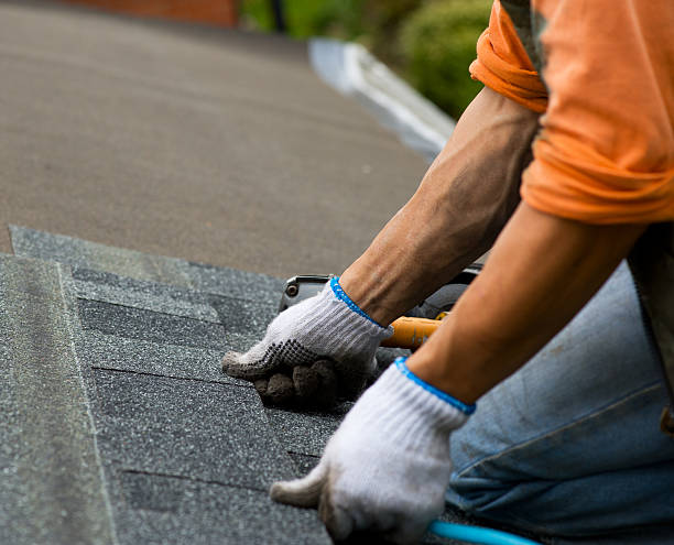 Best Metal Roofing Contractor  in Ferris, TX